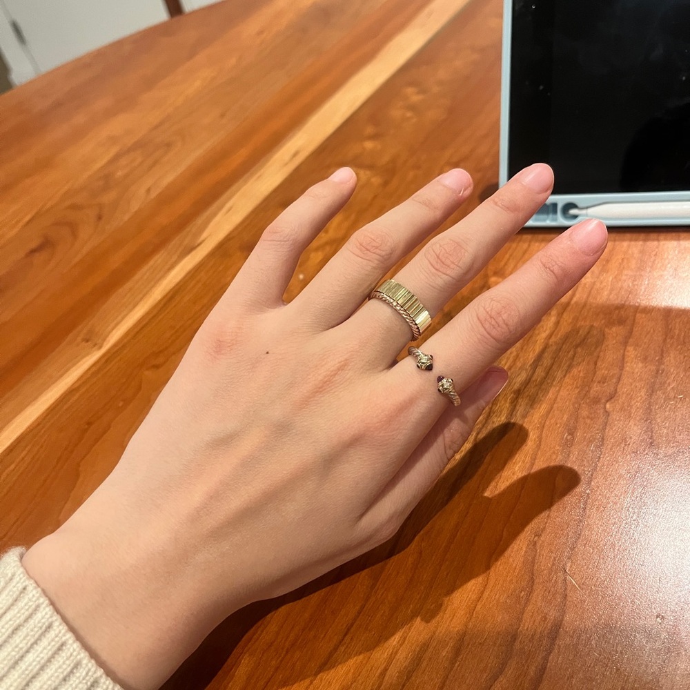 Ring Concierge 14K Gold 5mm Ring Band